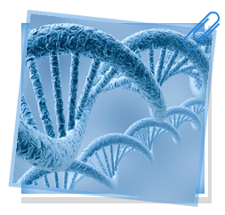 DNA DNA